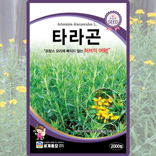 세계종묘 타라곤 씨앗 2000립 타라곤씨 허브 종자, 2개