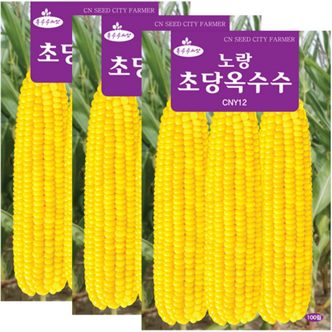 세인화분 노랑 초당옥수수씨앗 100립 옥수수씨 초당 옥수수 씨앗, 3개