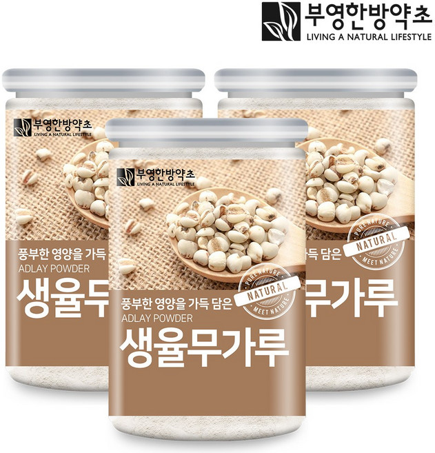 부영한방약초 생율무가루 300g 국내산, 3개