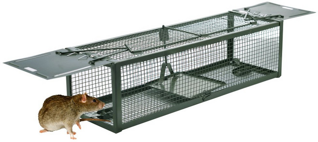 쥐 햄스터 다람쥐 설치류 고퍼 제어 15.2"x4.9"x4. Humane Animal Live Cage Rat Cage Trap with 2 Doors for Mice Hamste, 1개