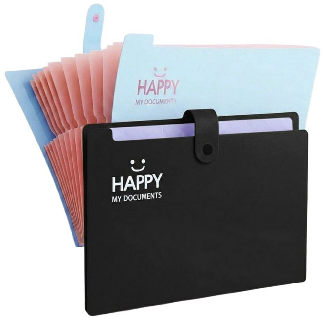 배로나 편리한 똑딱이 파일케이스 수납력 12칸, 2개, 블루블랙