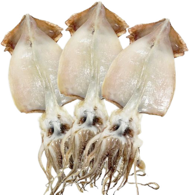 반건조 오징어 10마리 /반건 안주 버터 구이 간식 반찬 건오징어 볶음, 1개, 왕특대 2kg 내외