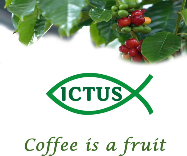 [익투스 커피 하우스] 더치커피 원액 스위스 워터 디카페인 500ml (고소+꽃+과일), 1개, 1개입