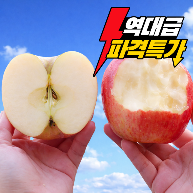 [초특가2주한정] 꿀브릭스 아삭달콤 초고당도사과 부사사과, 1박스, 10kg (중대과)/초특가