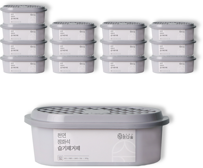 온다숲 반영구 천연제습제 습기제거제 정화석 탈취까지, 300g, 14개