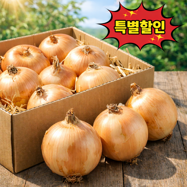 [하루100박스만] 특별한인 산지직송 국내산 햇양파, 1박스, 5kg