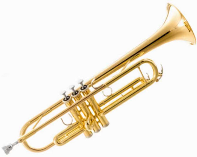 트럼펫 3음 트럼본 트롬펫 보급형 초보자 연습용, 1개, 상세페이지 참고
