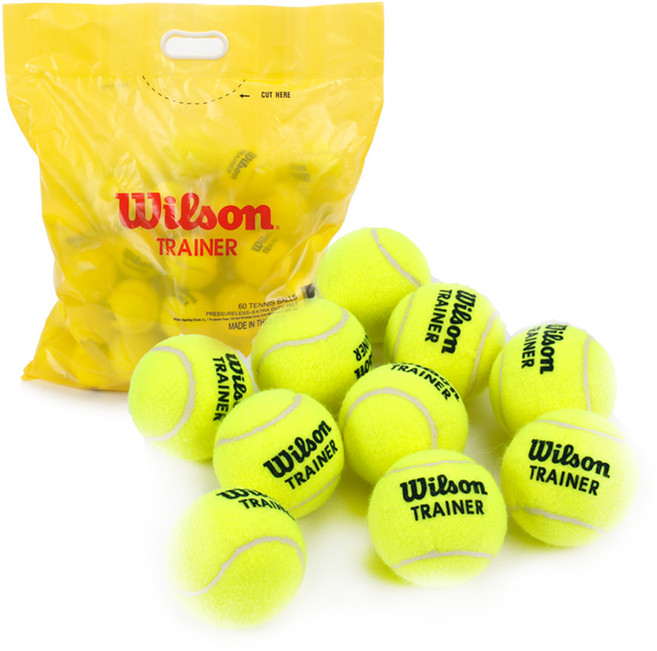 윌슨 테니스공 트레이너 연습공 60개입, 60개