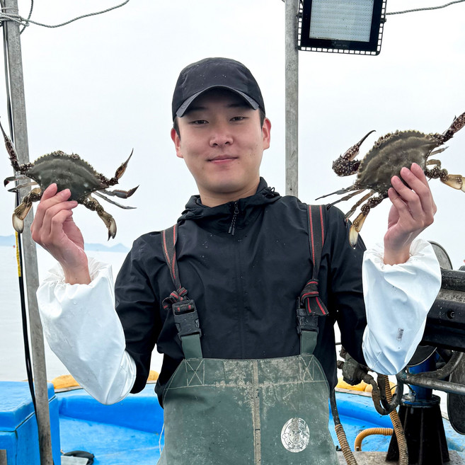 [당일조업] 꽃게킹 서해안 특A급 봄 알배기 암꽃게 활꽃게 생물꽃게 제철 국내산 산지직송, 1개, 1kg중사이즈(5미외)