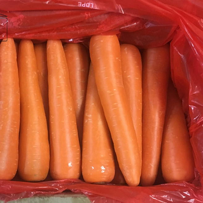 10kg 중국산세척당근 수입당근 중국산당근 식당용 업소용 급식채소, 1개