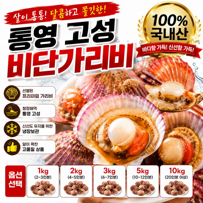 [산지직송] 국내산 통영 자연산 비단가리비 왕가리비 3kg, 1개