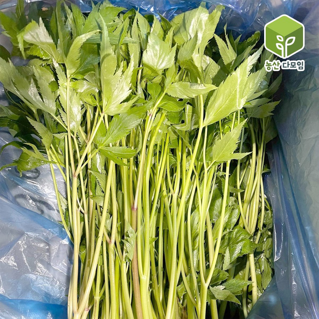 국내산 당귀 1kg, 1개