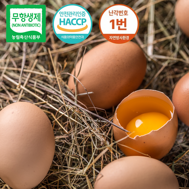 오복관 난각1번 유정란 무항생제 자연방사 당일산란(목초/아기 이유식용), 1개, 20구