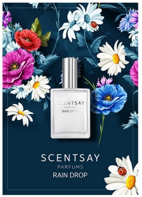 센트세이 레인 드롭 향수(SCENTSAY RAIN DROP PARFUM), 60ml, 1개 - 쿠팡