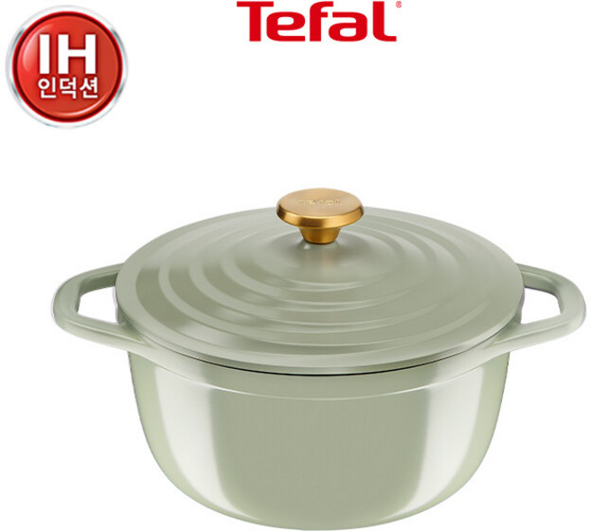 테팔 인덕션 세라믹 에어 주물 페어그린 양수냄비24cm, 1개, 24cm