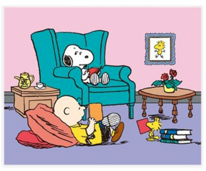 DIY 스누피 피너츠 DAILY 보석십자수 세트 40x50 큐빅 페인팅, COSY DAY, 1개