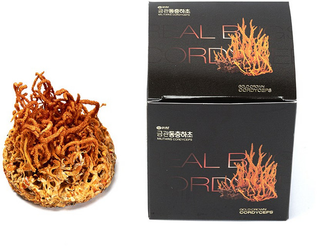 (국내산)천일한약방 유기농 누에 번데기 동충하초 건조 45g, 1개