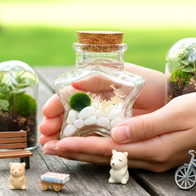 미니 마리모 키우기 세트 관리가쉬운 마리모세트 키트 식목일 DIY 수경화분 어항 별유리병, 푸딩 유리병