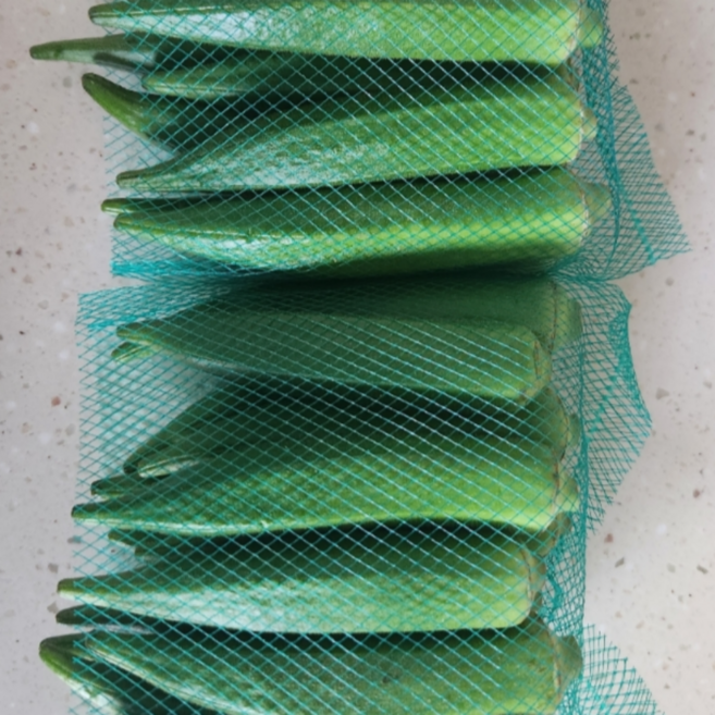 오크라 생 오크라 오쿠라 야채 500g, 1개