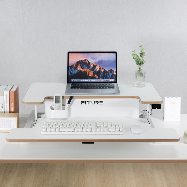 핏쳐 전동식 스탠딩 데스크 EA1, 블랙