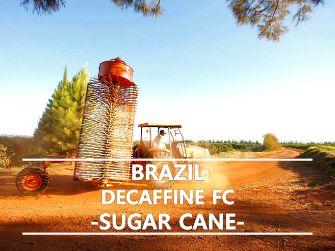 어라운드트레이딩 디카페인 브라질 슈가케인, 1개, 1kg