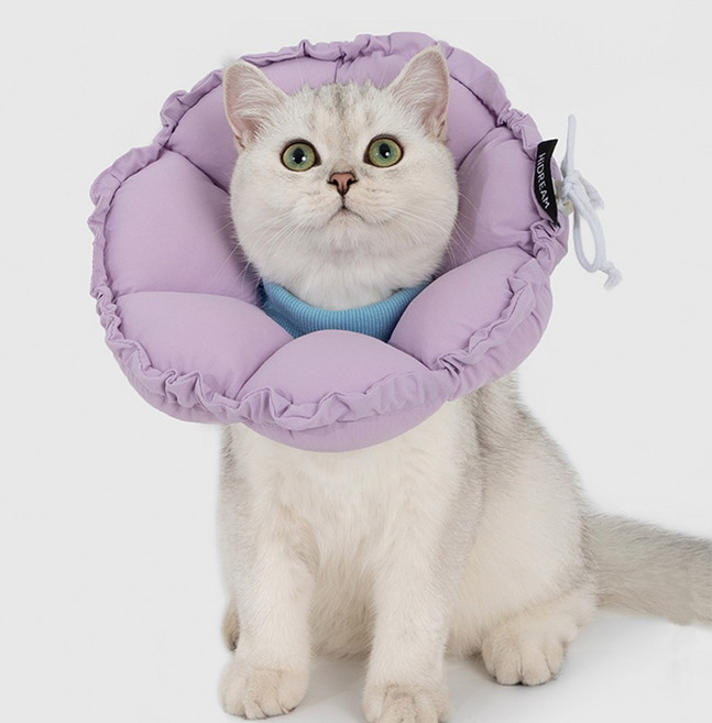 모츄츄 강아지 고양이 초경량 펫 칼라 66g 2way 플라워 베개 칼라 접이식+접이식 수술방지 컨 목욕후 보호대 알러지 방지 편안한 착용감, 1개, 토란 퍼플