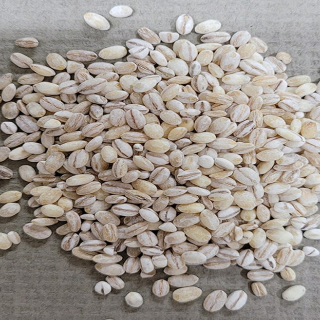 다온농산 국산 겉보리쌀 -5Kg- 보리밥/미숫가루/장, 1개, 5kg