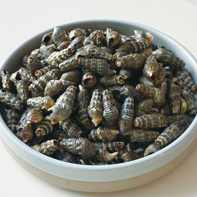 자숙 갯고동 다슬기, 1개, 1kg