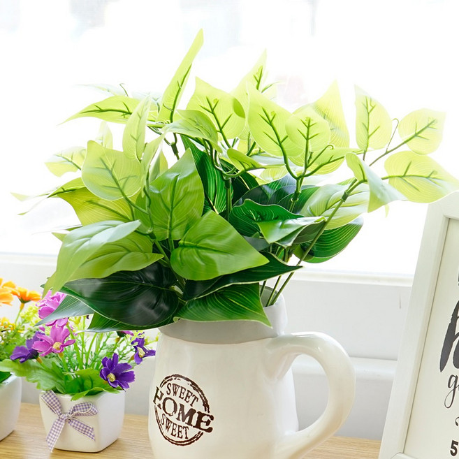 21세기트랜드 나뭇잎, 스킨답서스 듀오