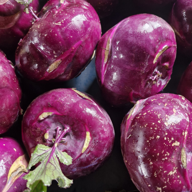 산지직송 제주 콜라비 정품, 1박스, 2kg