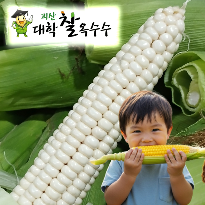 4위 - 2026년 괴산 대학찰옥수수 산지직송 당일수확, 1박스, 20개 (17cm 내외)