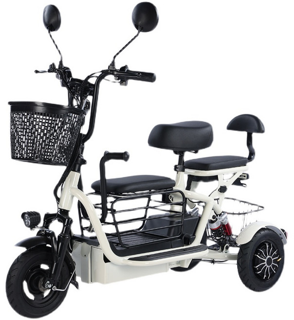 2인용 3륜 삼륜 전기자전거 노인 어르신 근거리 마트, 상세 페이지 참고, 스틸