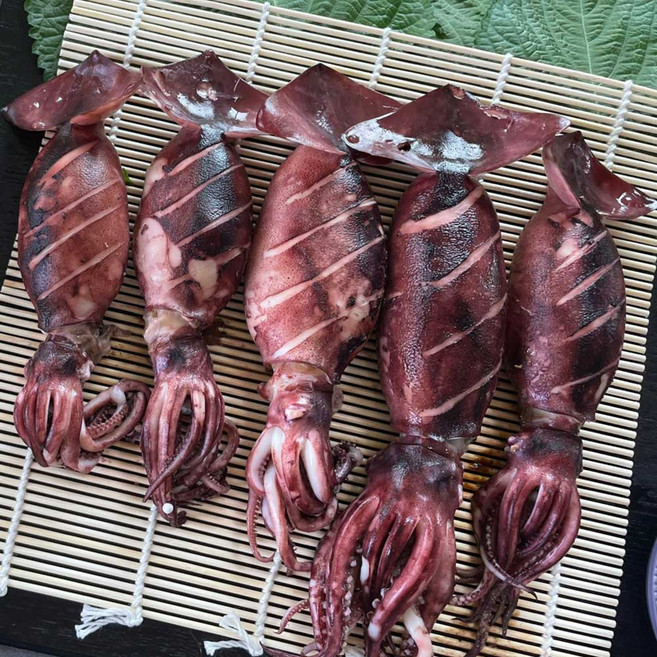 딜픽 통찜용 오징어 4-7미 500g내외, 1개