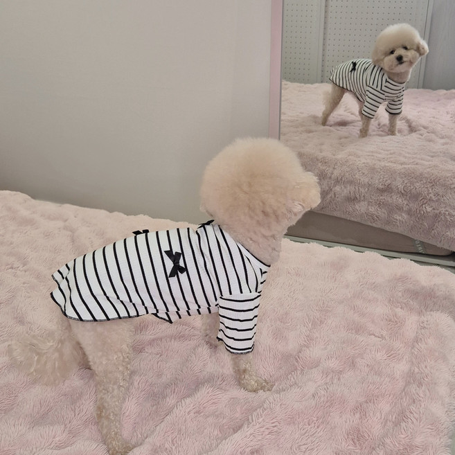 멍스터주식회사 강아지 봄옷 원피스 티셔츠 커플 스트라이프 리본 산책 외출복, 1개, 스트라이프 봄 티셔츠