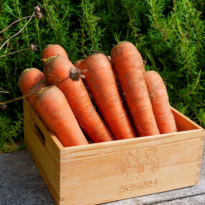 전라도청년 프레시 국내산 흙당근, 1개, 3kg(중)