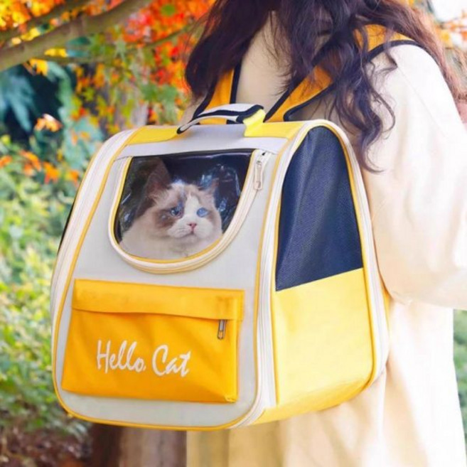 메쉬 고양이 백팩 강아지 이동 가방 산책 캐리어 반려 동물 배낭 강아지백팩