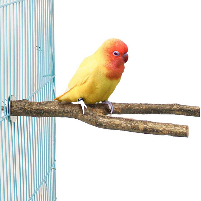 패럿토피아 앵무새 자연목 횃대 발톱갈이 장난감, 1개, 혼합색상 - 20cm