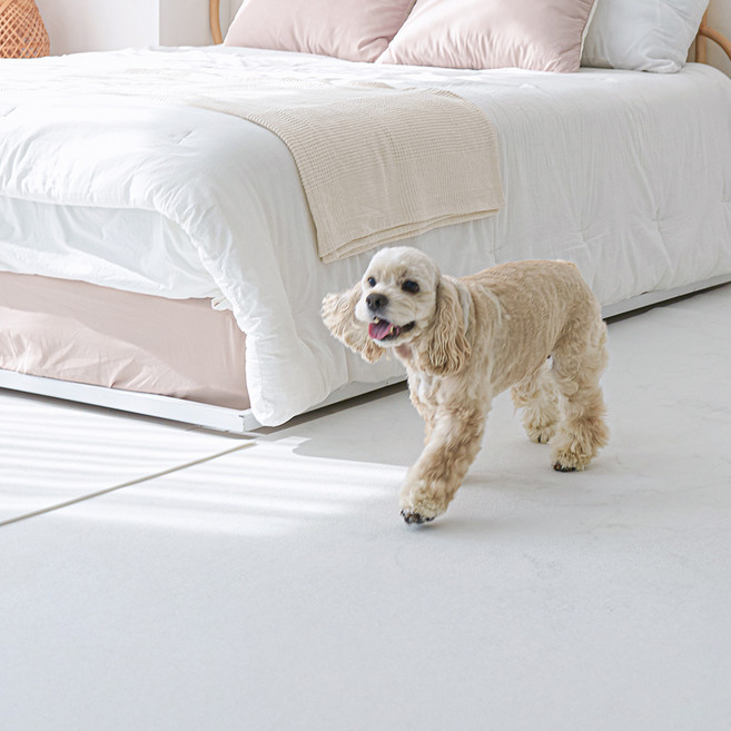 이리로 리핏매트 애견 강아지매트 미끄럼방지 롤 덧매트, 1개, 화이트쉘