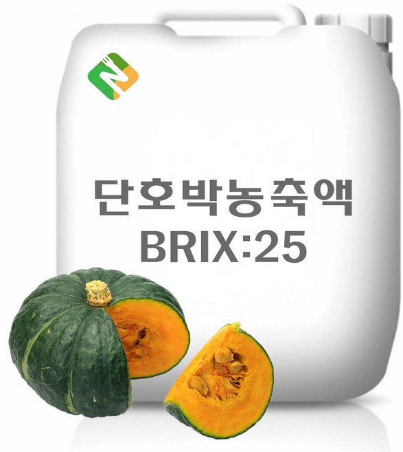 단호박농축액 25Brix 20kg, 단품, 1