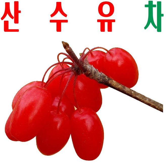 산수유차/ 산수유티백차/ 산수유열매 덖음차/ 1회용 티백/ 지리산구례명차, 산수유차(20티백) x1봉, 1개