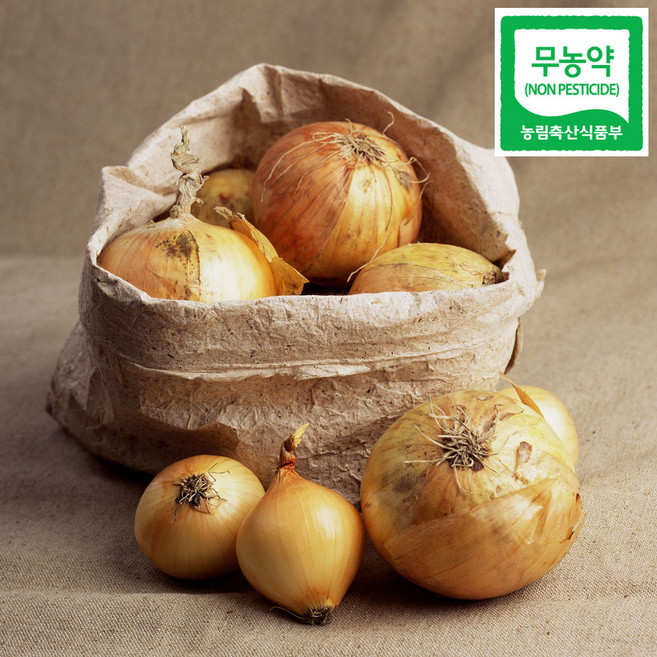 친환경 무농약 양파 2kg 3kg 5kg, 1박스