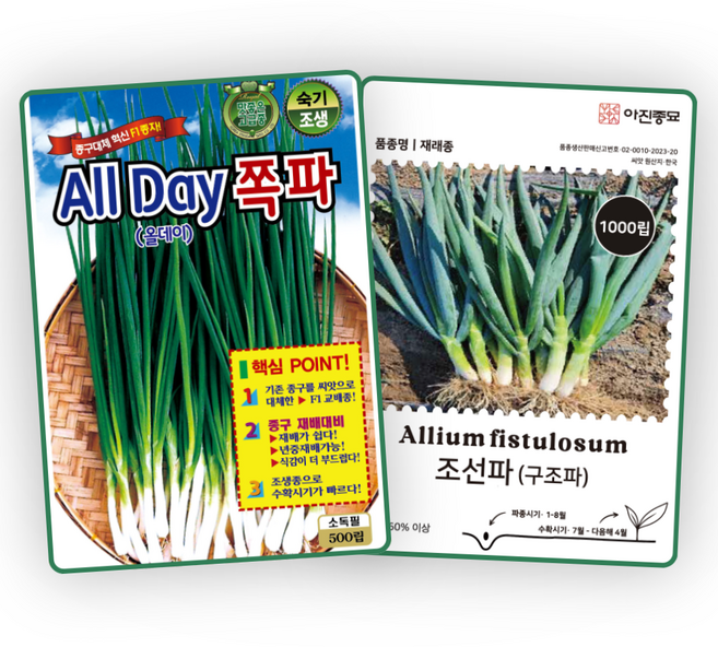 [주주씨앗] 쪽파씨앗 500립 F1교배종 쪽파씨 KS종묘 올데이 조선파 종자 씨 채소씨앗, 1개