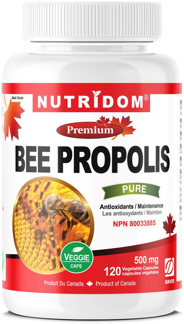 (2병) 캐나다 뉴트리돔 비프로폴리스 500mg 프로폴리스 염증에 좋은 비염 면역력 식물성캡슐 120정, 2개