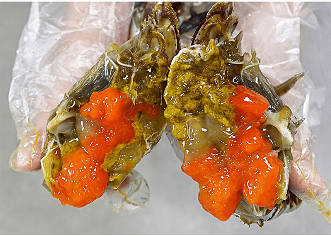 선한게장 연평도 알이가득한 암꽃게 간장게장 중사이즈 2마리, 2통, 2kg