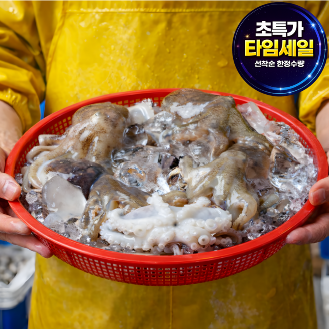 [특가오픈] 새벽조업 선별직송 쫄깃담백 쭈꾸미, 1박스, 1kg