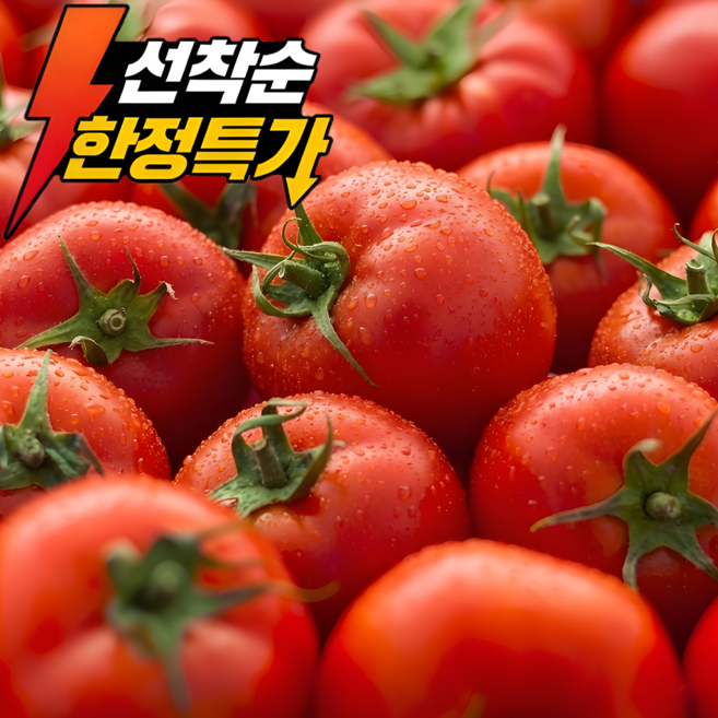 [선착순100박스한정] 초특가 당일수확 빨간 완숙토마토, 1박스, 10kg