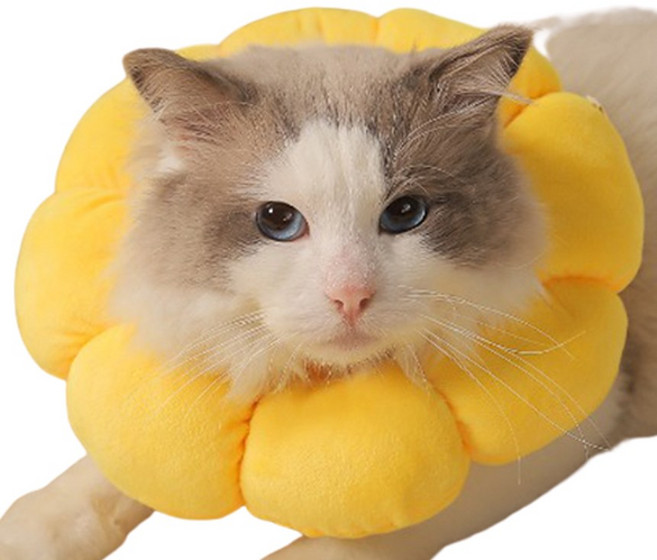 펫쉼 고양이 강아지 반려동물 소프트 쿠션 넥카라, 옐로우, 1개