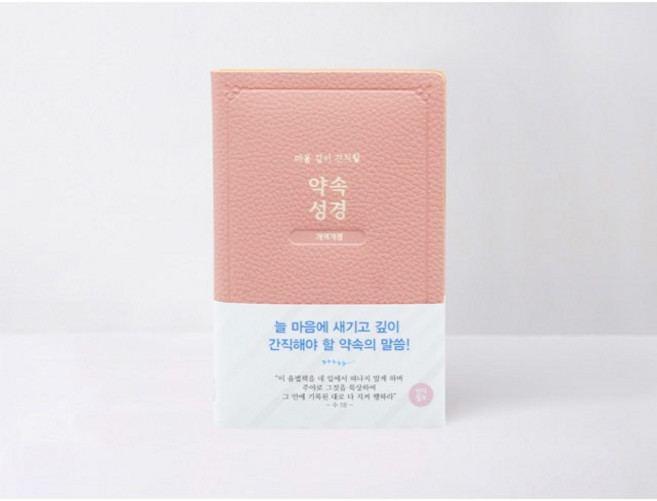 개역개정 마음 깊이 간직할 약속성경 인디핑크 아가페