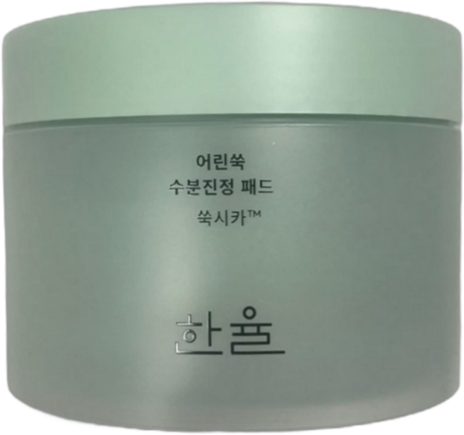 한율 어린쑥 수분진정 패드 170ml, 60매입, 2개