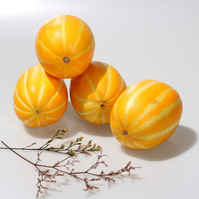 [돌마리상회] (프리미엄) 고당도 성주 꿀 참외, 1박스, 중과 5kg(15과내외)